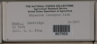 Image Associated With the Occurence
